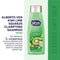 Alberto VO5 Kiwi Lime Squeeze with Lemongrass Shampoo, 12.5 oz. (Pack of 6)