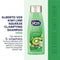 Alberto VO5 Kiwi Lime Squeeze with Lemongrass Shampoo, 12.5 oz. (Pack of 12)