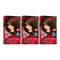 Revlon ColorSilk Hair Color - 47 Medium Rich Brown (Pack of 3)