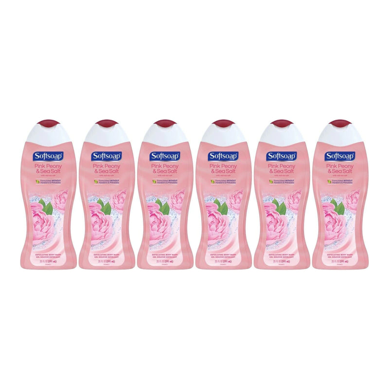 Softsoap Body Pink Rose & Sweet Vanilla Scent Body Wash, Exfoliating Body  Wash - 20 Fluid Ounce