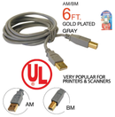 6 Ft. (1.8m) Printer USB Cable "A" Plug to "B" Plug (USB 2.0 Cable)