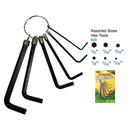 6 Piece Assorted Sizes Allen Wrench Hex Tool Set with Keychain