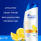 Head & Shoulders Anti-Dandruff Shampoo - Citrus Fresh, 13.5oz 400ml (Pack of 3)