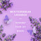Febreze Air Freshener - Mediterranean Lavender Scent, 8.8oz
