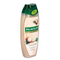 Palmolive Wellness Nourish Shea Butter Extract Shower Gel, 500ml (Pack of 2)