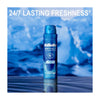 Gillette Dry Shield 24/7 Arctic Ice Dry Spray Antiperspirant, 4.3oz