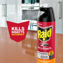 Raid Ant & Roach Spray - Orange Breeze Scent, 17.5 oz.