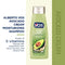 Alberto VO5 Avocado Cream with Moroccan Argan Oil Shampoo, 12.5 oz.