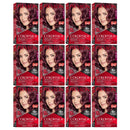 Revlon ColorSilk Beautiful Color Hair Color - 48 Burgundy (Pack of 12)