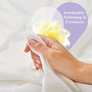 Suavitel Morning Sun Liquid Fabric Conditioner, 11oz. (325ml) (Pack of 6)