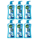 6 Pack x Dettol Mint & Sea Minerals 99.9% Antibacterial Bodywash, 33.5oz