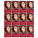 Revlon ColorSilk Beautiful Hair Color - 51 Light Brown (Pack of 12)