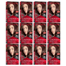 Revlon ColorSilk Beautiful Hair Color - 33 Dark Soft Brown (Pack of 12)