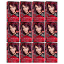 Revlon ColorSilk Beautiful Hair Color - 34 Deep Burgundy (Pack of 12)