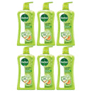 6 Pack x Dettol Honeydew Melon & Cucumber Antibacterial Bodywash, 33.5oz