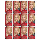 Revlon ColorSilk Hair Color - 80 Light Ash Blonde (Pack of 12)