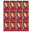 Revlon Beautiful Hair Color - 45 Bright Auburn (Pack of 12)