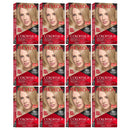 Revlon ColorSilk Beautiful Hair Color - 74 Medium Blonde (Pack of 12)