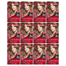 Revlon ColorSilk Beautiful Hair Color - 60 Dark Ash Blonde (Pack of 12)