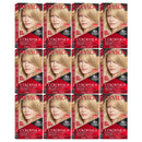 Revlon ColorSilk Beautiful Hair Color - 81 Light Blonde (Pack of 12)
