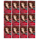 Revlon Hair Color - 46 Medium Golden Chestnut Brown (Pack of 12)