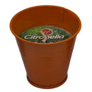 Orange Citronella Candle For Outdoor Use - Insect Repellent Candle, 1.2oz
