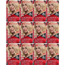 Revlon ColorSilk Hair Color - 03 Light Sun Blonde (Pack of 12)