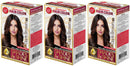 Dark Brown 3.0 Permanent Hair Color - Advanced Formula Kit (Pack of 3)