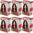 Dark Brown 3.0 Permanent Hair Color - Advanced Formula Kit (Pack of 6)
