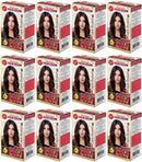 Dark Brown 3.0 Permanent Hair Color - Advanced Formula Kit (Pack of 12)