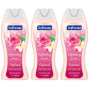 Softsoap Pink Rose & Sweet Vanilla Body Wash 20oz (591ml) (Pack of 3)