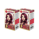 Burgundy 3.14 Permanent Hair Color - Premium Advanced Formula Kit (Pack of 2)