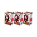 Burgundy 3.14 Permanent Hair Color - Premium Advanced Formula Kit (Pack of 3)