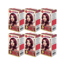 Burgundy 3.14 Permanent Hair Color - Premium Advanced Formula Kit (Pack of 6)