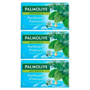 Palmolive Menta y Eucalipto Bar Soap Purificante Frescura, 5.3oz (Pack of 3)