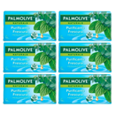 Palmolive Menta y Eucalipto Bar Soap Purificante Frescura, 5.3oz (Pack of 6)