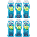 Softsoap Citrus Splash & Berries Real Berry Extracts Body Wash, 20oz (Pack of 6)