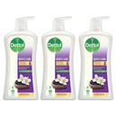3 Pack x Dettol Habbatus Sauda & White Jasmine Antibacterial Bodywash 33.5oz