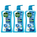3 Pack x Dettol Mint & Sea Minerals 99.9% Antibacterial Bodywash, 33.5oz