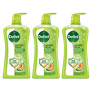 3 Pack x Dettol Honeydew Melon & Cucumber Antibacterial Bodywash, 33.5oz