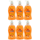 6 Count x Peach & Mango Scented Hand Soap, 13.5oz