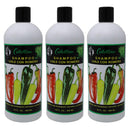 3 Pack x Cabellina Chile Con Romero (Pepper & Rosemary Extract) Shampoo, 32oz.