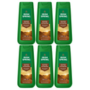 6 Pack x Irish Spring Saharan Dawn Cedar & Vetiver Scent Body Wash, 20oz