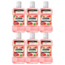 6 Pack x Listerine Watermelon Mint HALAL Antiseptic Mouthwash 8.45oz (250ml)