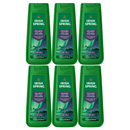 6 Pack x Irish Spring Icelandic Night Aromatic & Herbal Scent Body Wash 20oz