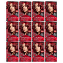12 Pack x Revlon ColorSilk Hair Color - 66 Cherry Red