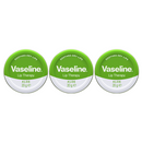 3 Pack x Vaseline Aloe Lip Therapy Tin - Soothes Dry Lips, 20g (0.17oz)