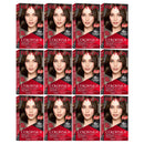 Revlon ColorSilk Beautiful Hair Color - 41 Medium Brown (Pack of 12)