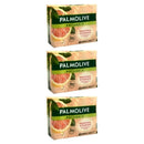 12 Count x Palmolive Moisturizing Freshness Citrus Cream, 90g Each