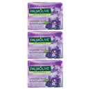 12 Count x Palmolive Irresistible Touch w/ Black Orchid, 90g Each
